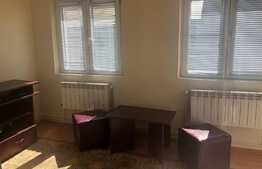 Apartament 1 camera, 50 mp, gradina, zona Traian Vuia