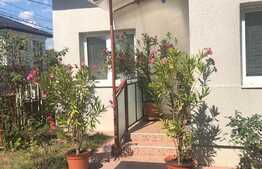 Apartament 1 camera, 50 mp, gradina, zona Traian Vuia