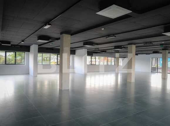 Spațiu birouri de închiriat Someseni - 41376SIB | BLITZ Cluj-Napoca | Poza9