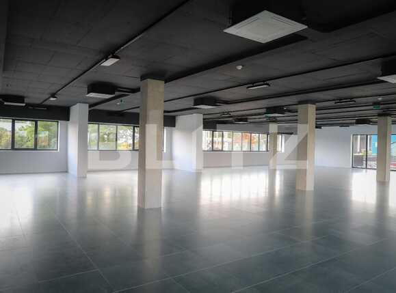 Spațiu birouri de închiriat Someseni - 41378SIB | BLITZ Cluj-Napoca | Poza9