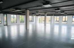 Birou ultramodern, 211 mp, prima inchiriere, zona Traian Vuia