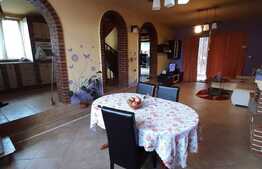 Pret oportun, casa individuala, zona Tauti!