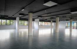 Birou Ultramodern, 216 mp, prima inchiriere, zona Traian Vuia