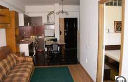 Apartament cu 2 camere de inchiriat la 3 minute de Parcul Rozelor