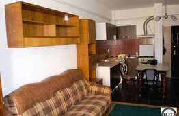 Apartament cu 2 camere de inchiriat la 3 minute de Parcul Rozelor