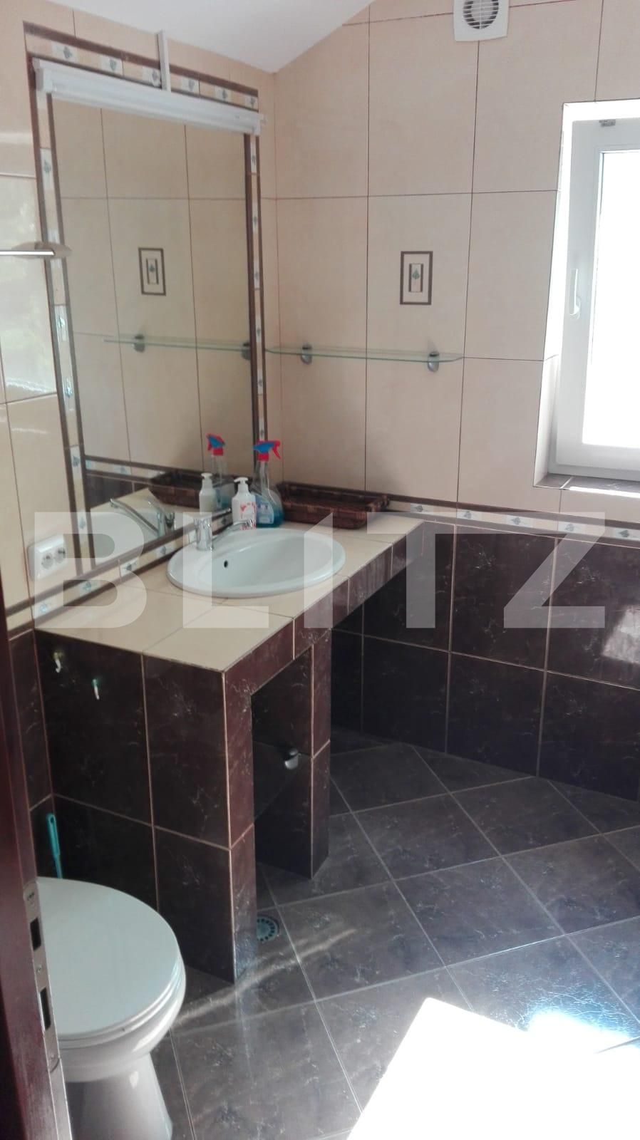 Spațiu birouri de închiriat Bună Ziua - 41413SIB | BLITZ Cluj-Napoca | Poza10