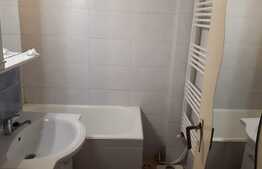 Garsoniera, 24 mp, semidecomandat, zona strazii Rasaritului