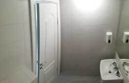 Spatiu comercial 171mp, Zona USAMV 