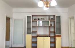 2 camere, 50 mp, loc de parcare, zona Horea! Pet friendly!