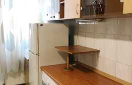 2 camere, 50 mp, loc de parcare, zona Horea! Pet friendly!