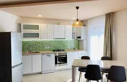 3 camere, prima inchiriere, gradina 90 mp, zona Calea Borhanciului