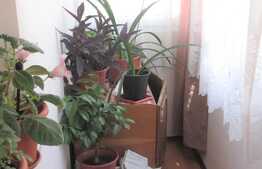 3 camere, 64 mp, etaj intermediar, 2 boxe, zona Casa Radio!