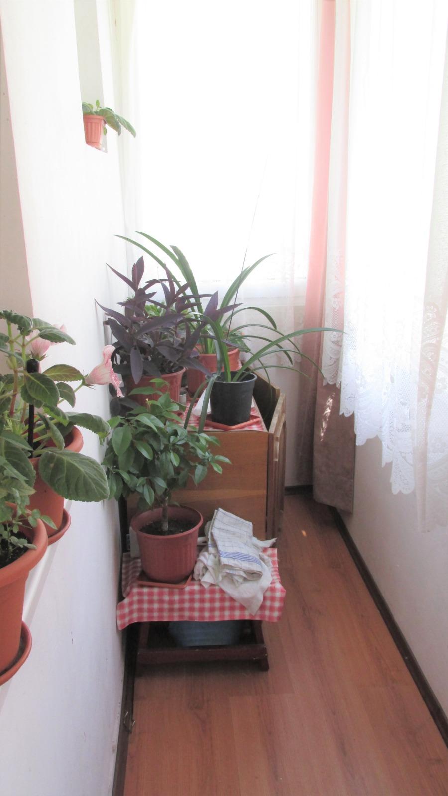 Apartament de vânzare 3 camere Grigorescu - 41442AV | BLITZ Cluj-Napoca | Poza9