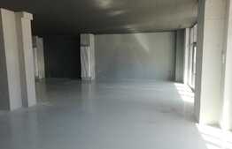 Spatiu comercial cu front stradal, ideal pentru SHOWROOM