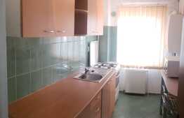 Apartament la cheie, 40 mp, in zona Sigma Center