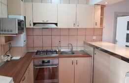 Apartament 2 camere, modern, terasa 24 mp, garaj , PET FRIENDLY! Zona strazii Sub Cetate!