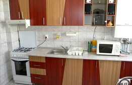 2 camere, 54 mp, mobilat modern, zona Autogarii