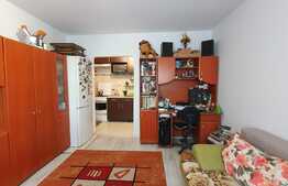 Vrei sa locuiesti intr-o garsoniera, aproape de facilitatile orasului?