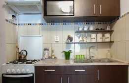 Vrei sa locuiesti intr-o garsoniera, aproape de facilitatile orasului?