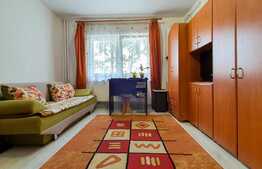 Vrei sa locuiesti intr-o garsoniera, aproape de facilitatile orasului?