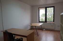 Birouri moderne, 150 mp, Marasti, inchiriere pe nivele