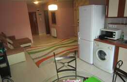Apartament 2 camere, 48 mp, semidecomandat, pet friendly, zona Calea Turzii