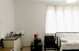 Apartament tip studio, zona Facultatea de Medicina