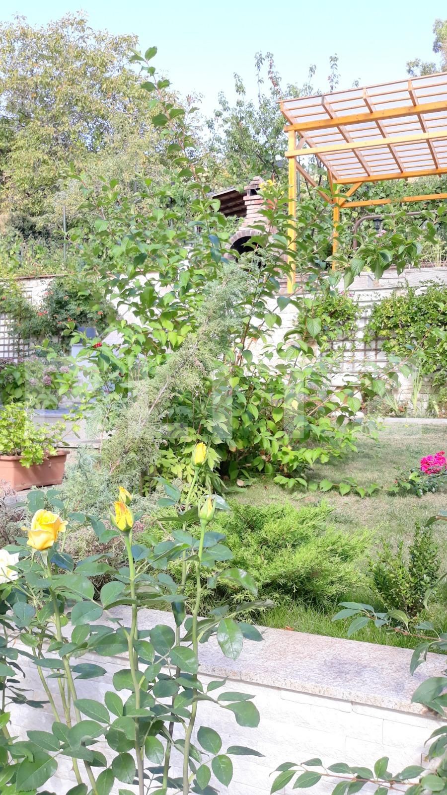 Casa de vânzare 6 camere Grigorescu - 41581CV | BLITZ Cluj-Napoca | Poza3