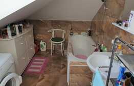 Mansarda cocheta,3 camere, 61 mp, zona strazii Florilor!