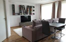 Apartament modern, 2 camere, 45 mp, zona Terra