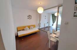 Apartament 1 camera, 42,7 mp, finisat, mobilat, zona Oncos