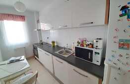 Apartament 1 camera, 42,7 mp, finisat, mobilat, zona Oncos