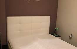 Apartament 2 camere, 45 mp, zona Tineretului