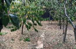 Casa Individuala ,56 mp utili ,240 mp teren ,zona Iulus Mall