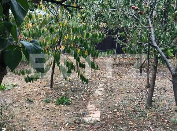 Casa de vânzare 2 camere Intre Lacuri - 41656CV | BLITZ Cluj-Napoca | Poza5