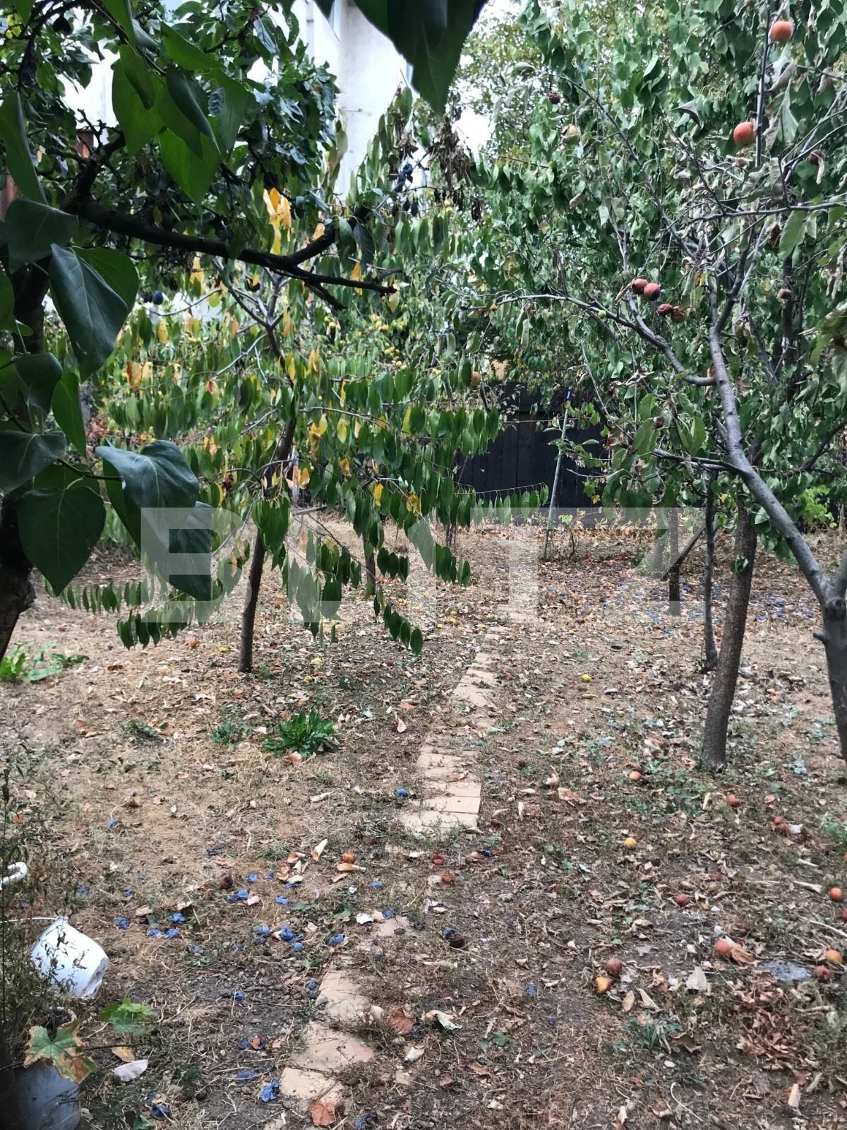 Casa de vânzare 2 camere Intre Lacuri - 41656CV | BLITZ Cluj-Napoca | Poza5