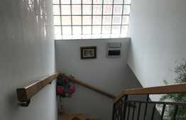 Casa individuala, 282 mp utili, 1220 mp teren, Exterior Sud