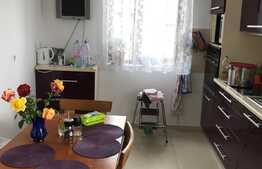 Casa individuala, 282 mp utili, 1220 mp teren, Exterior Sud