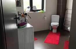 Casa individuala, 282 mp utili, 1220 mp teren, Exterior Sud