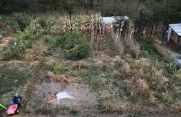 Casa individuala, 282 mp utili, 1220 mp teren, Exterior Sud