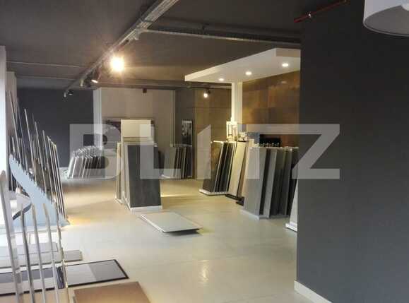 Spațiu birouri de închiriat Bună Ziua - 41662SIB | BLITZ Cluj-Napoca | Poza4