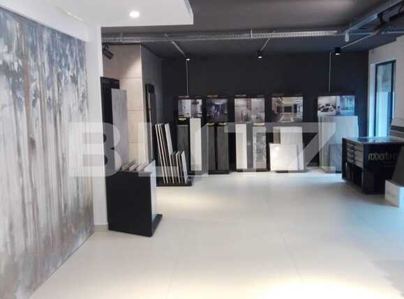 Spațiu birouri de închiriat Bună Ziua - 41662SIB | BLITZ Cluj-Napoca | Poza3