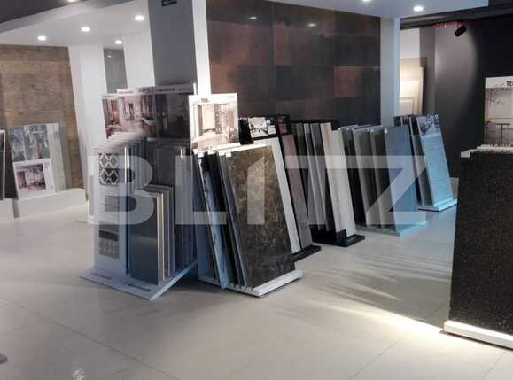 Spațiu birouri de închiriat Bună Ziua - 41662SIB | BLITZ Cluj-Napoca | Poza2