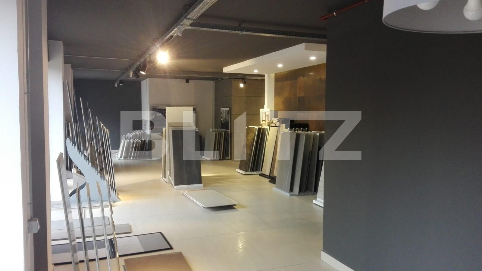 Spațiu birouri de închiriat Bună Ziua - 41662SIB | BLITZ Cluj-Napoca | Poza4