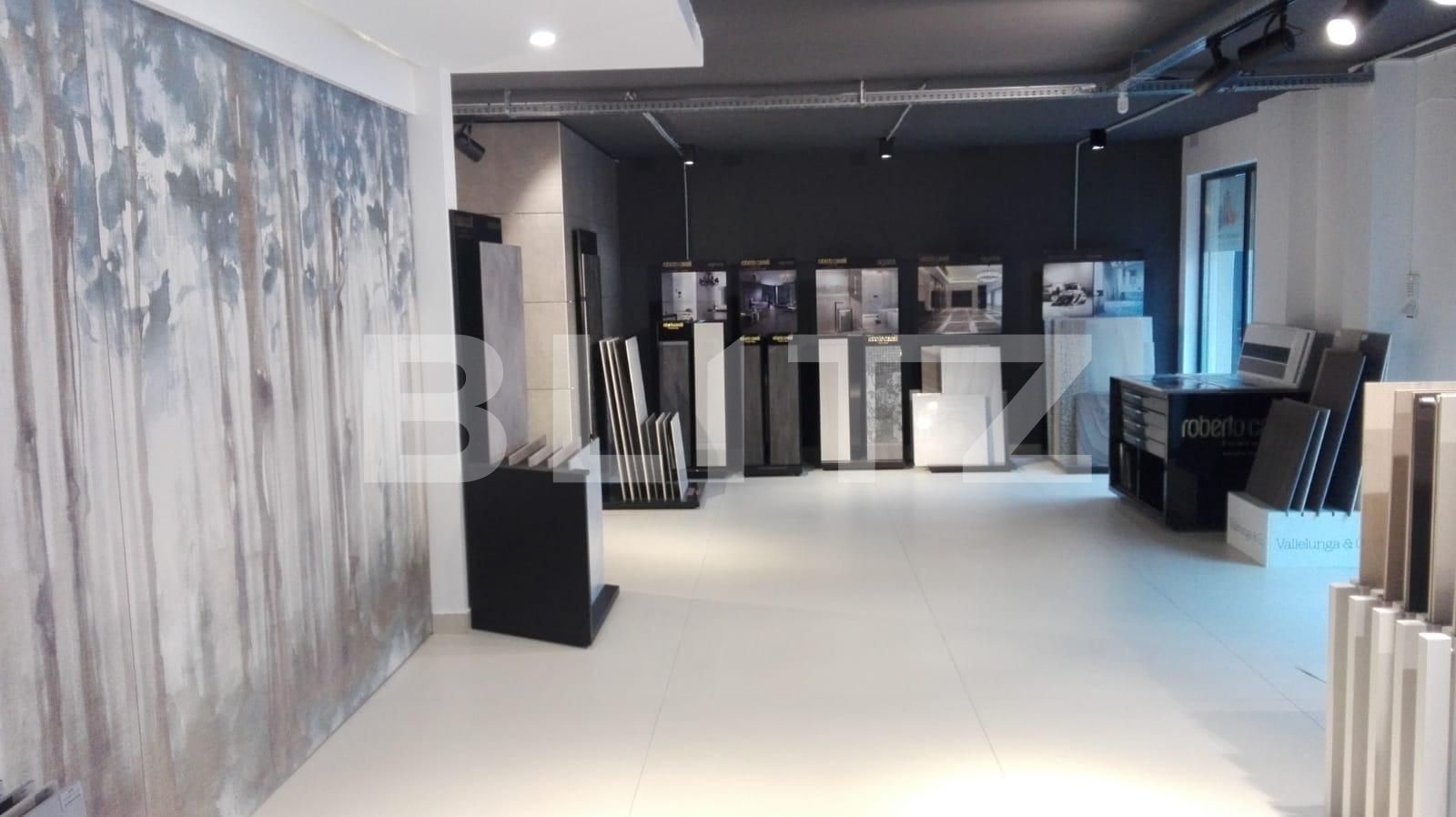 Spațiu birouri de închiriat Bună Ziua - 41662SIB | BLITZ Cluj-Napoca | Poza3