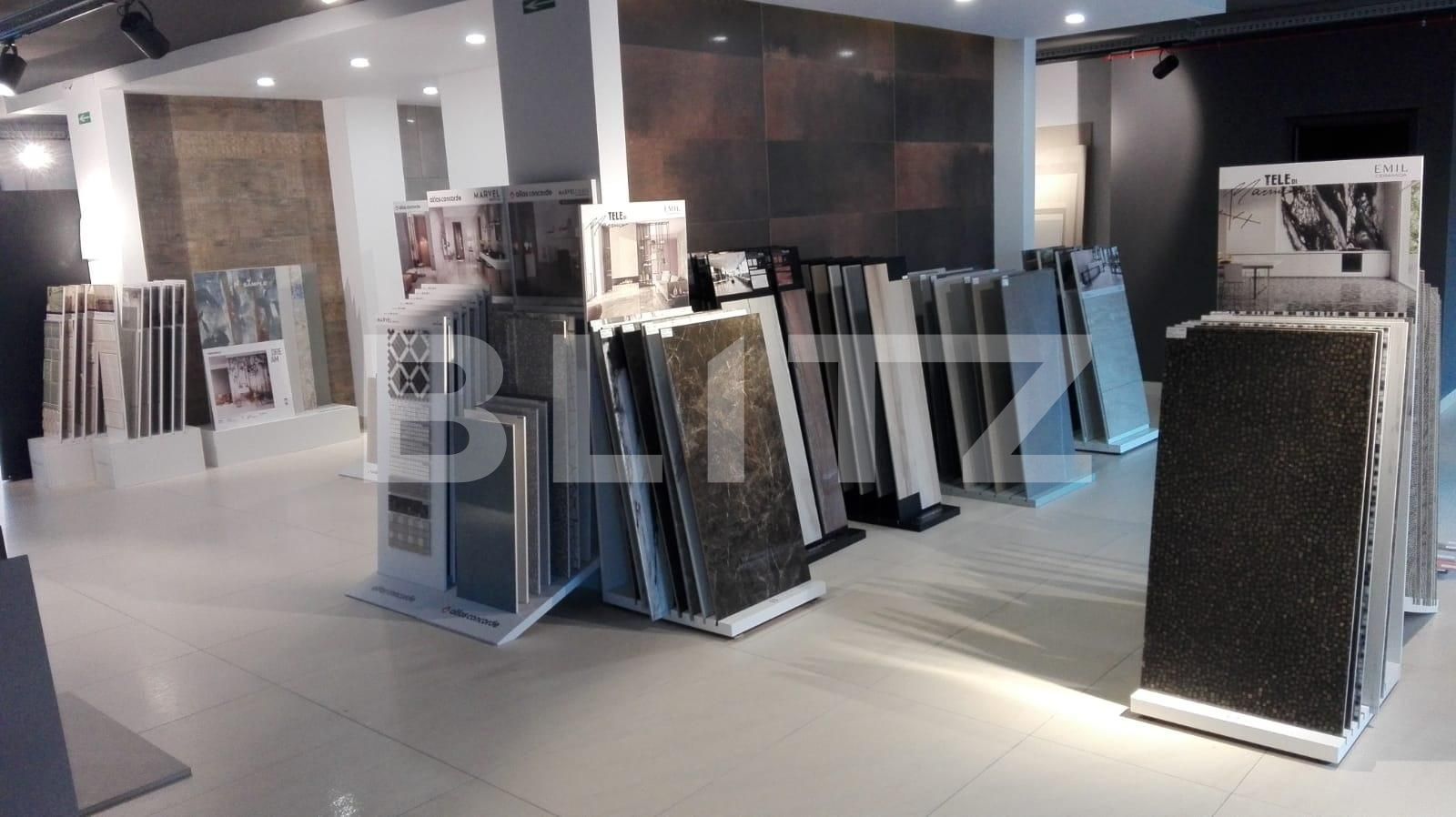 Spațiu birouri de închiriat Bună Ziua - 41662SIB | BLITZ Cluj-Napoca | Poza2