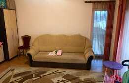 Apartament 2 camere, zona Muzeul Apei!