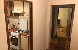 Apartament 2 camere, zona Muzeul Apei!