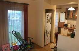 Apartament 2 camere, zona Muzeul Apei!