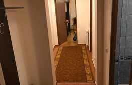 Apartament 2 camere, zona Muzeul Apei!